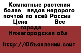 Комнатные растения более200видов недорого почтой по всей России › Цена ­ 100-500 - Все города  »    . Нижегородская обл.